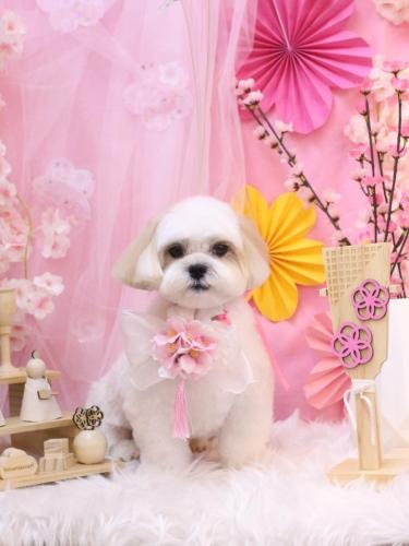 20250315ふくくん